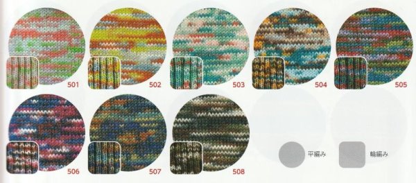 画像3: ≪激安≫ハマナカ　ラプックス《マルチカラー》 (3)