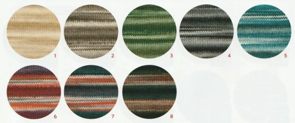 画像2: ≪人気作品着分パック≫Aラインのラグランプルオーバー【ウービーグラデション使用】 (2)