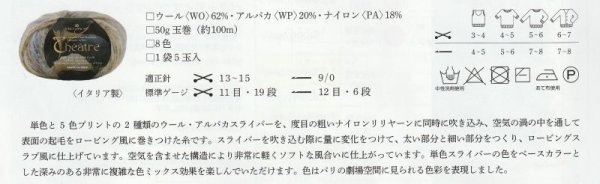 画像4: ≪激安≫リッチモア テアトル (4)